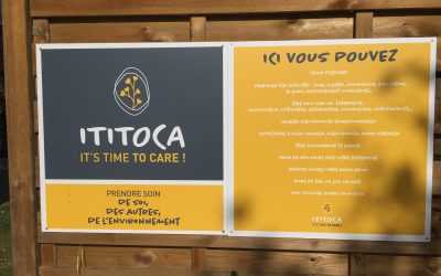 Ici, vous pouvez